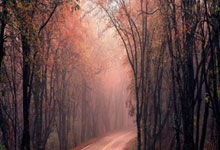 切尔西vs热刺首发:帕尔默、杰克逊先发,孙兴慜、麦迪逊出战.