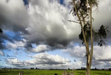 [英超]利物浦战胜莱斯特城 领先优势扩大到7分.