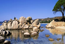 米体：尤文接近与莫塔分手，曼奇尼愿接受个月的短期合同.